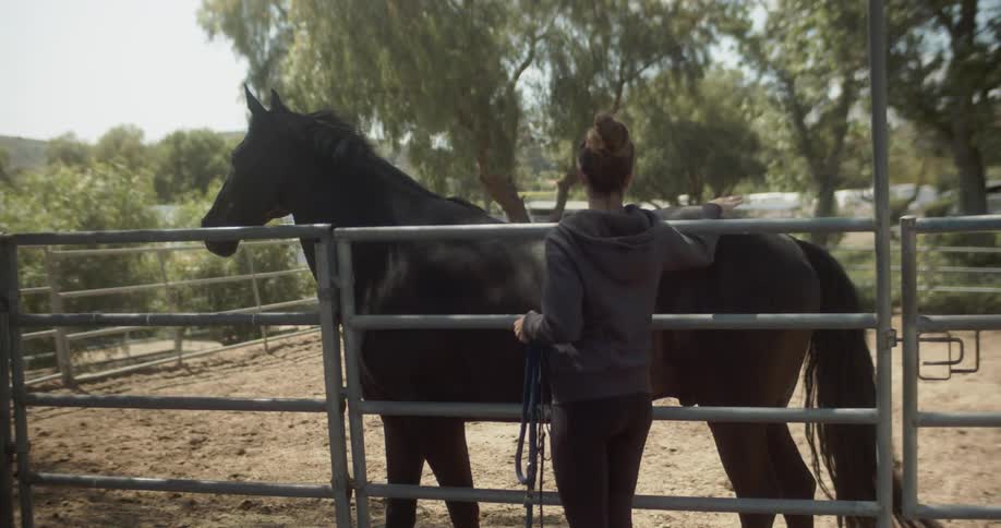 A woman pets a horse