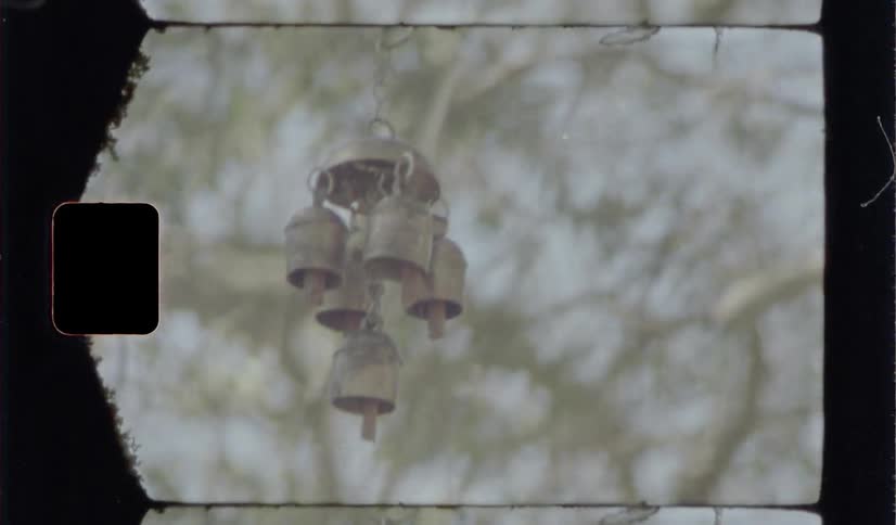 The bells are hanging from the tree
