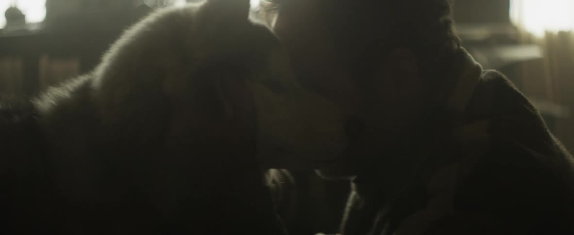 A man sitting nose to nose with a dog petting and hugging him