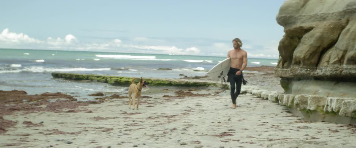 A surfer and dog walk on a beach