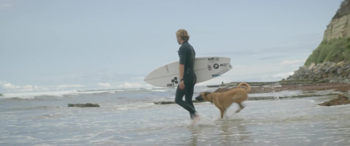 A surfer and dog walk on a beach