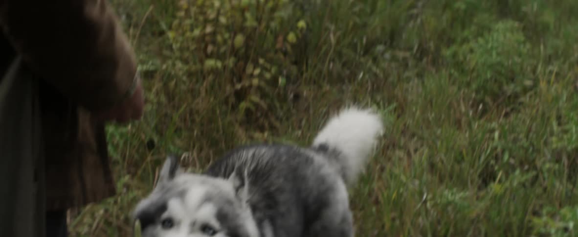 Man standing in the wilderness pets his dog