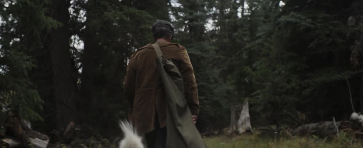 A man walking with a dog in the woods