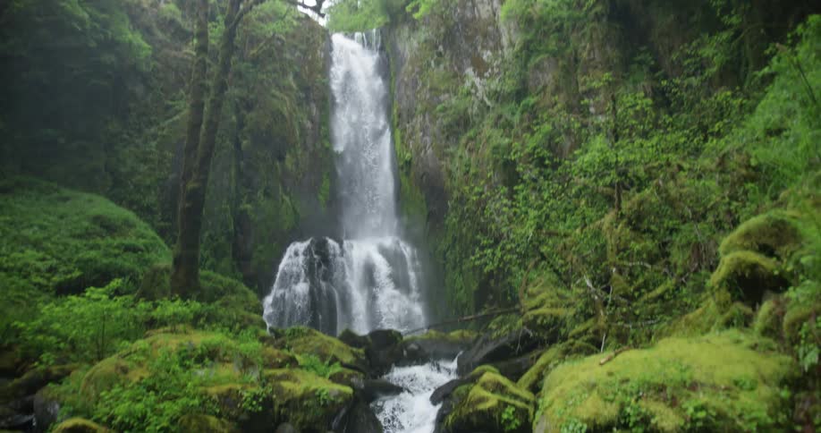 Reveal of a waterfall in a forest