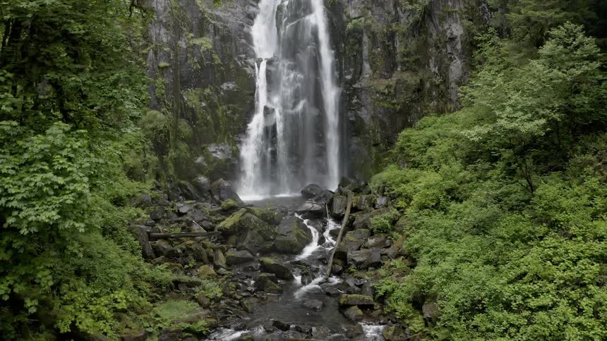 Reveal of a flowing waterfall in a flourishing forest