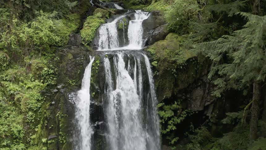 Aerial shot of a waterfall rushing over a cliff in a lush forest