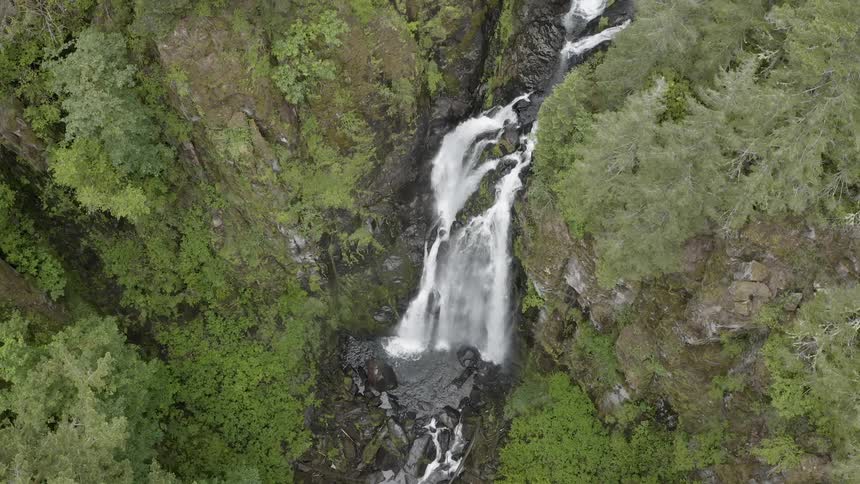 Aerial shot flying over a cascade in a green forest