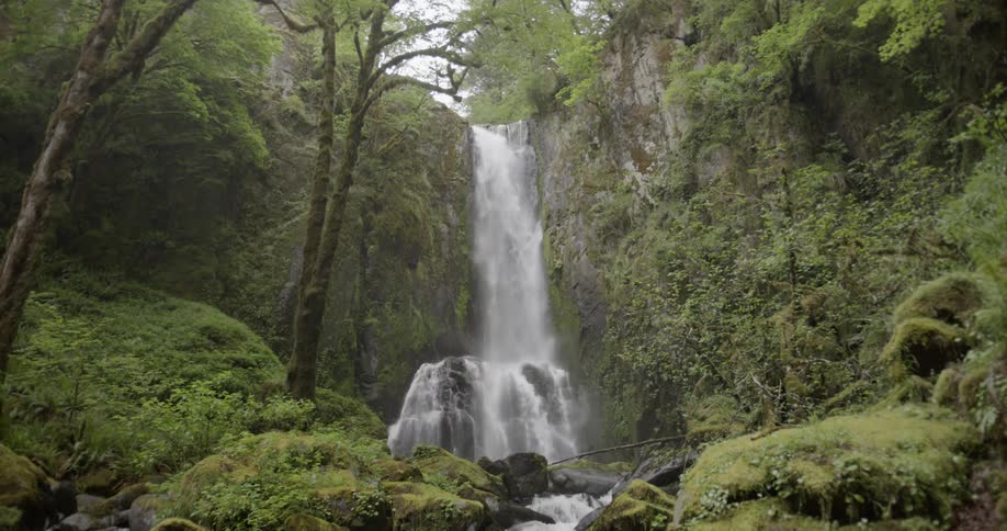Static shot of a waterfall in a teeming forest
