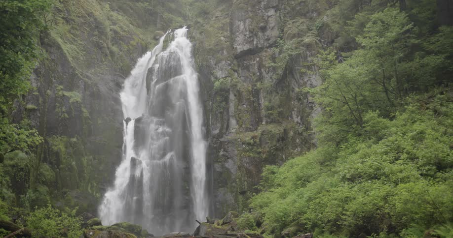A waterfall cascades into a brook below in a teeming forest