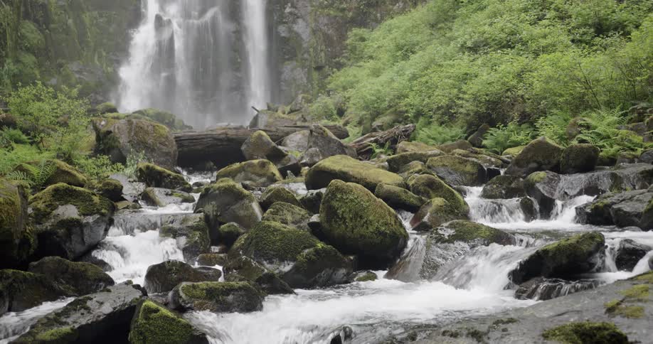 A waterfall flows into a stream below in a teeming forest