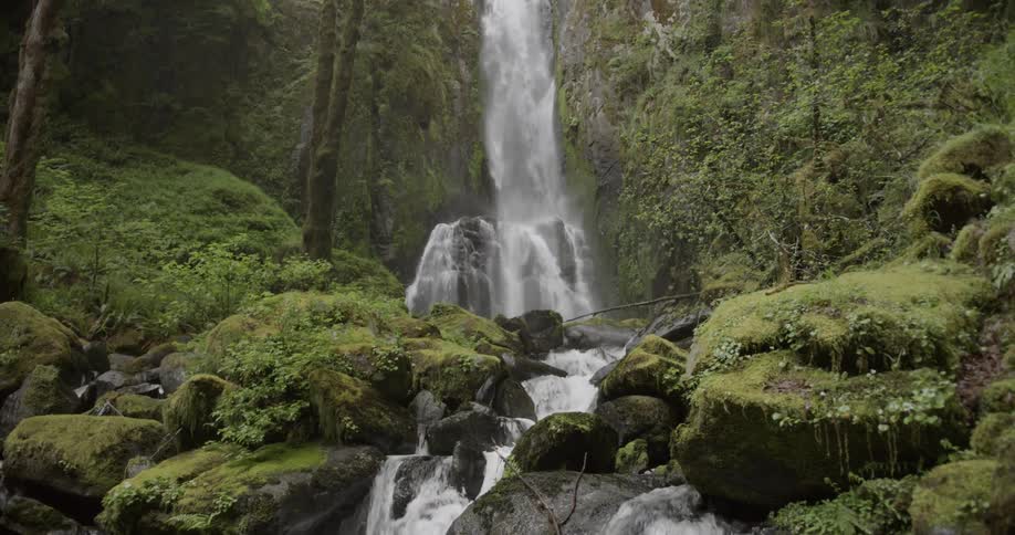 Reveal of a waterfall in a green forest flowing into a brook below