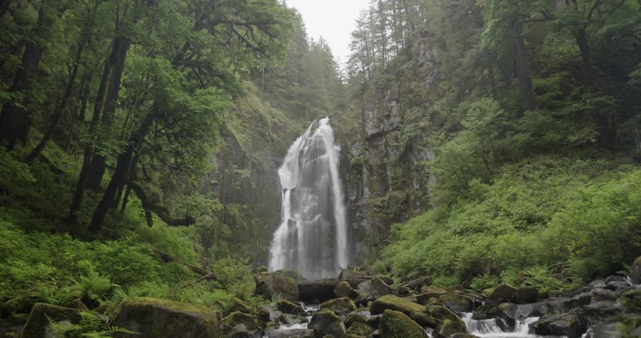 Wide shot of a waterfall flowing down a cliff in a lush forest