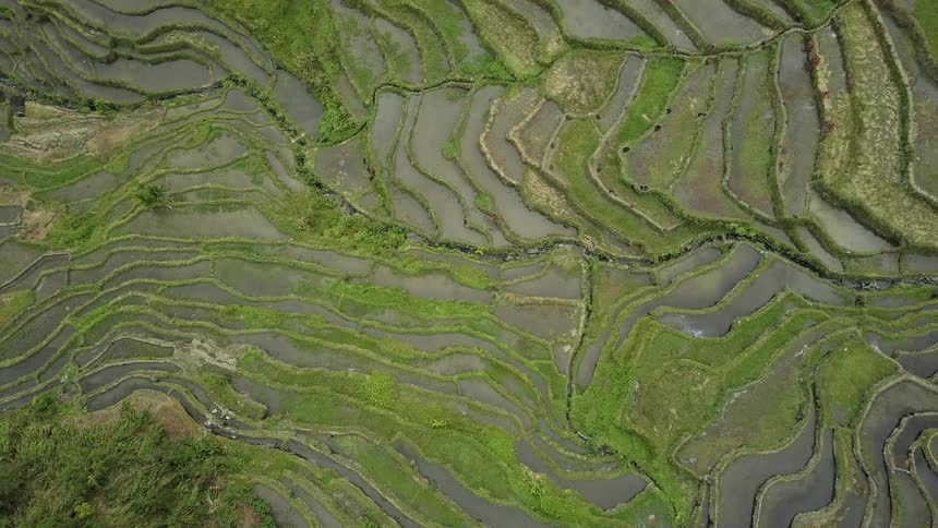 The fields are winding and green below