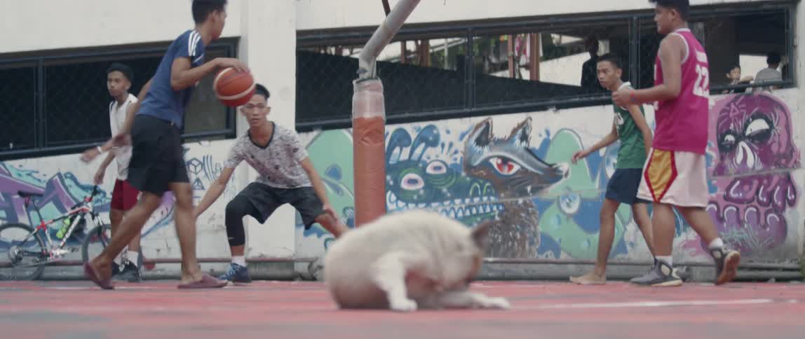 Teenagers play basketball on an outdoor court near a dog