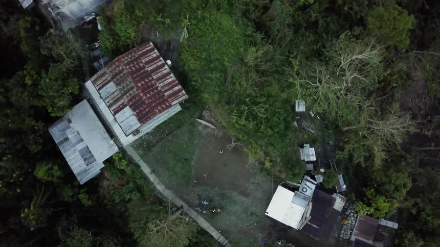 People play basketball in the yard by the trees