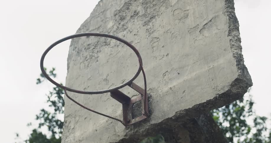 Basketball hoop outside by trees