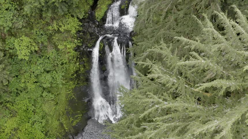 Flyover of a waterfall in a viridescent forest flowing into a brook below