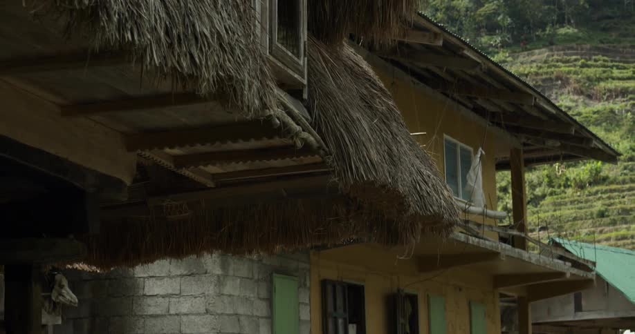 The roof of the house is covered with straw