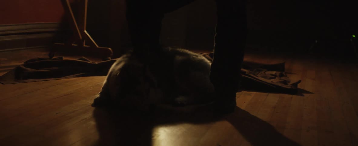A person waking up a dog