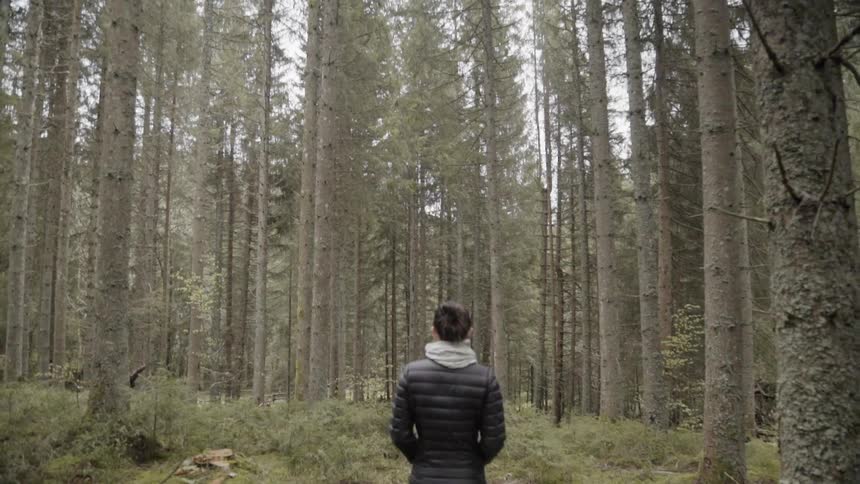 Woman stands in a forest