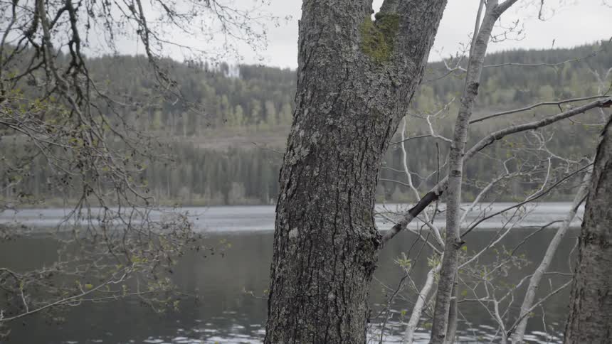 The water is calm in the lake ahead