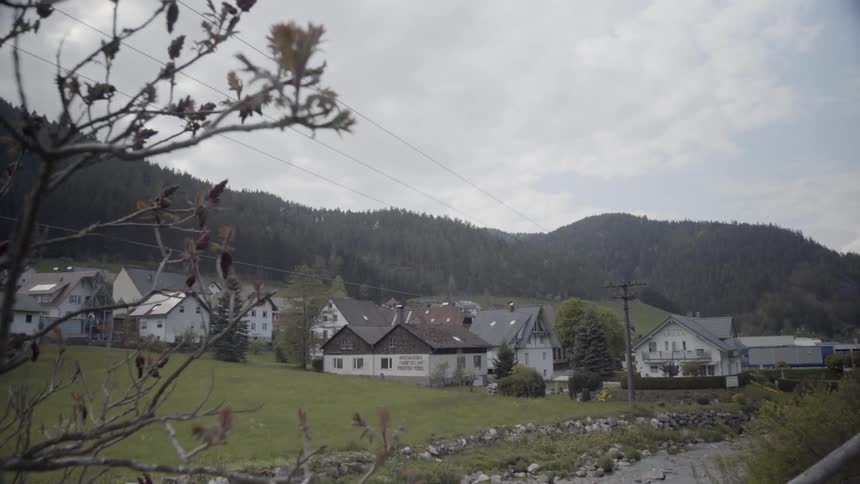 A river is flowing past a village on a cloudy day