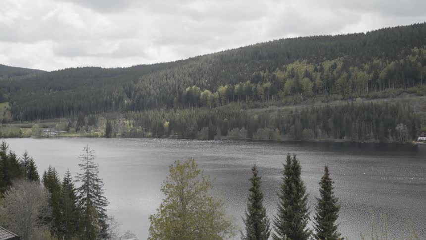 Water ripples on a mountain lake