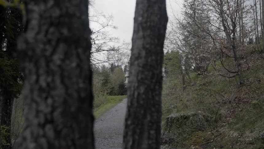 A house is surrounded by trees