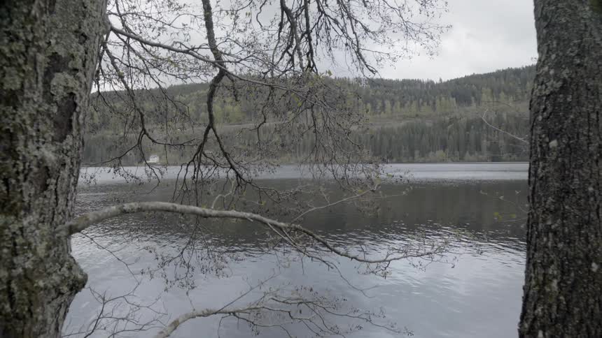 The lake surface reflects the surrounding trees