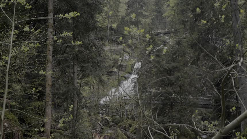 Stream water flows rapidly downhill
