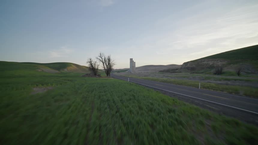 Soybean field next to a rural road and grain elevators