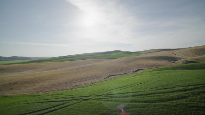 Skimming along lush and beautiful contoured hills covered with wheat and hay grass