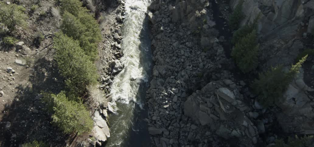 River is flowing in forest area