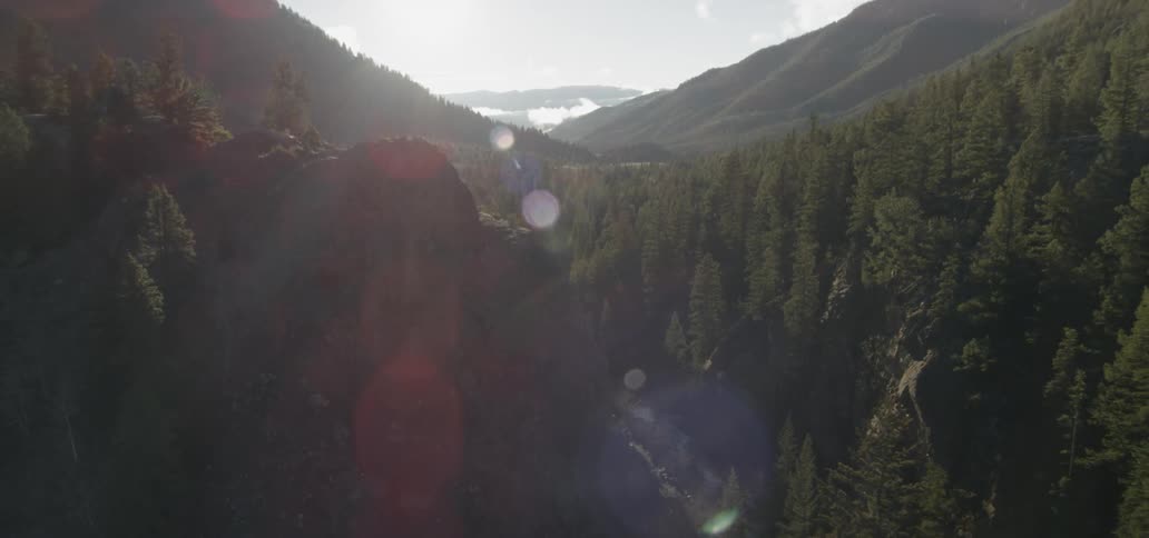 Trees cover the valley between mountains