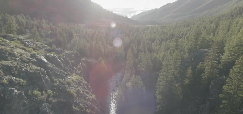 River flowing through mountains forest