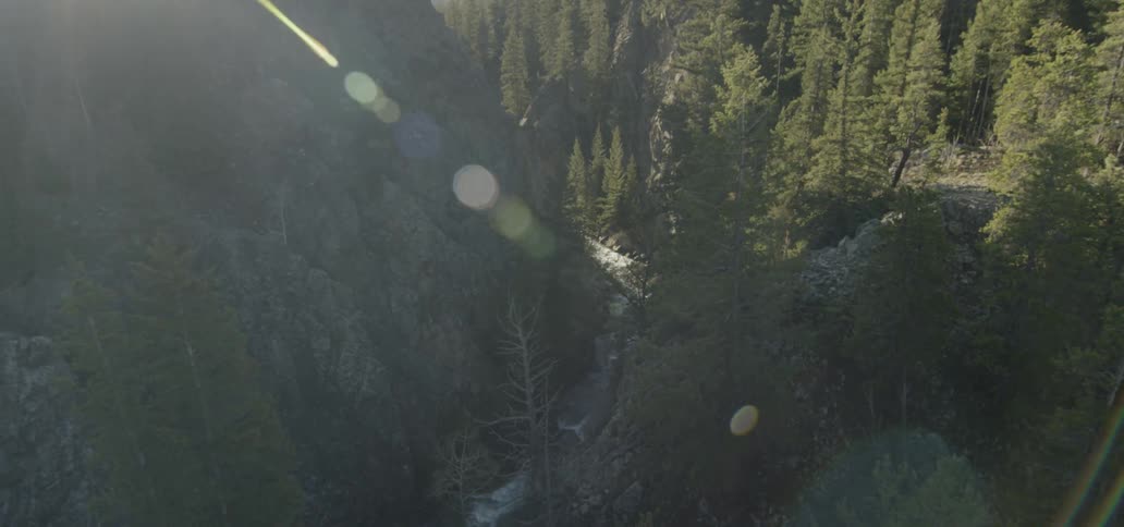 River flowing through thick forest in the mountains