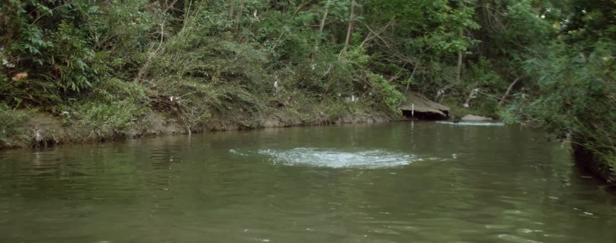 A man swims in the river