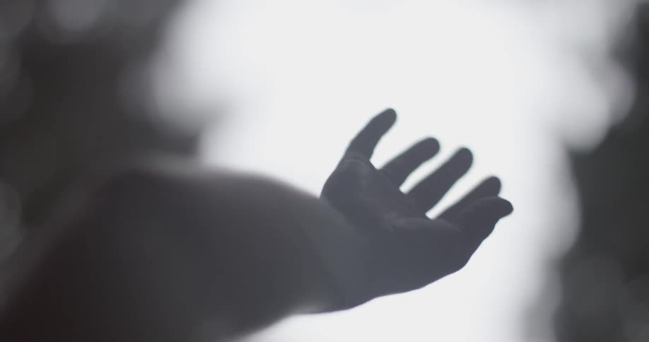 Hands reach into the air