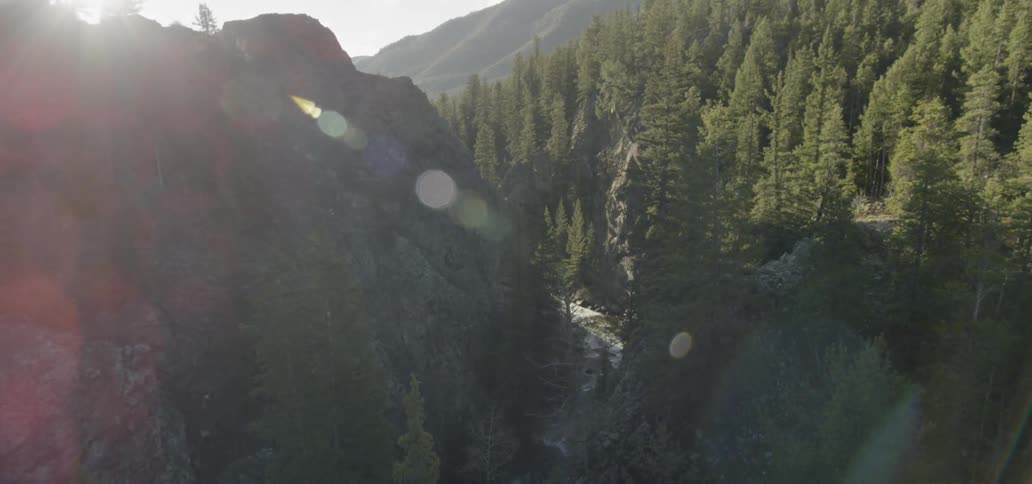 Sunlight shines over mountains and pine trees