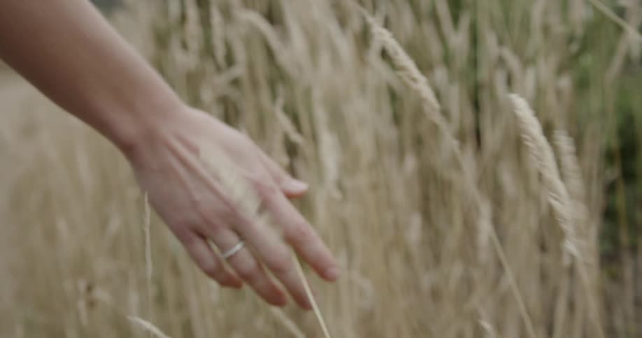 Woman is running her hand through tall weeds
