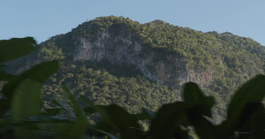 A mountain covered in trees is looming in the distance on a sunny day