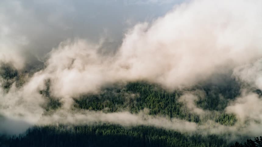 The clouds roll over the dense forest