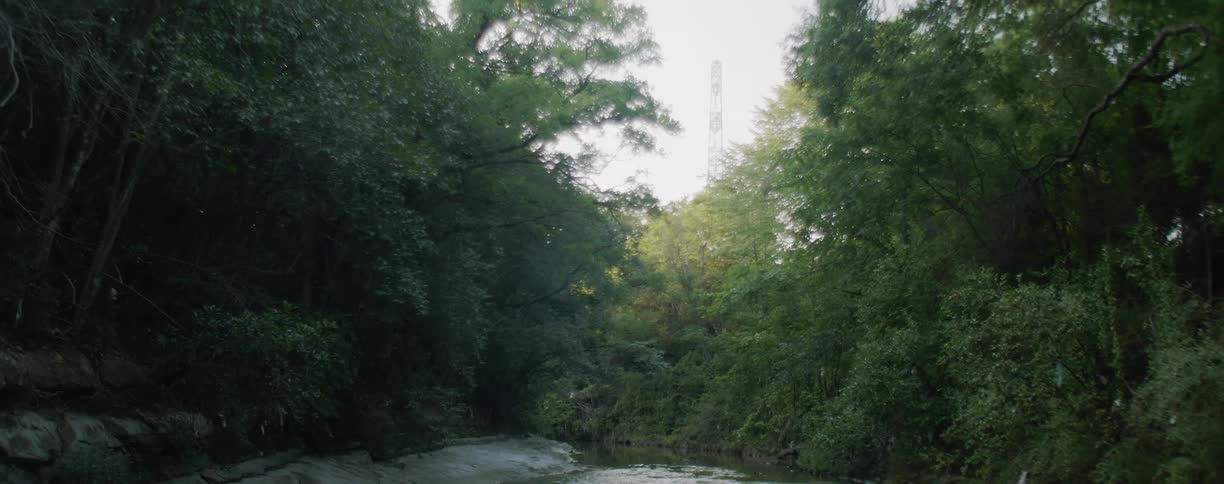 A small body of water surrounded by trees with a cellular tower in the background