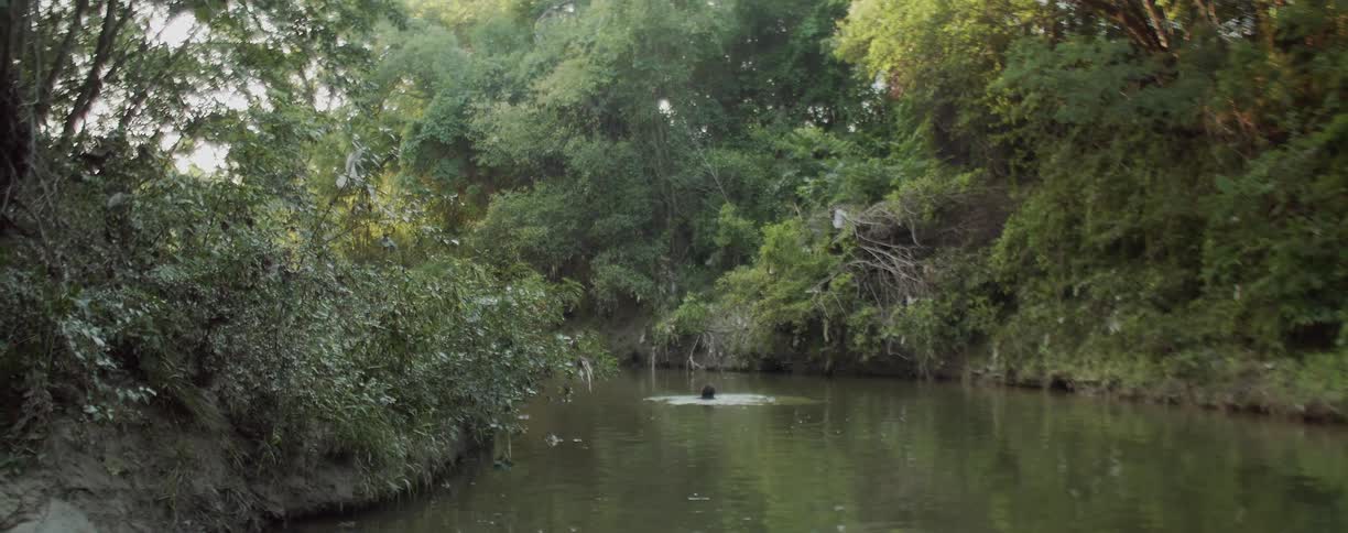 The man dives down into the water