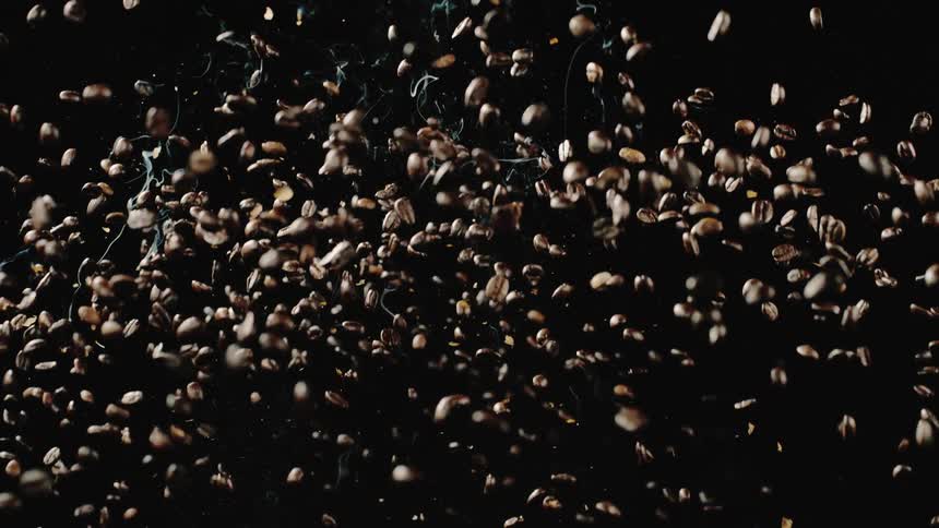 Coffee bean are falling and tumbling down