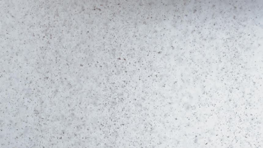Particles fall to the ground