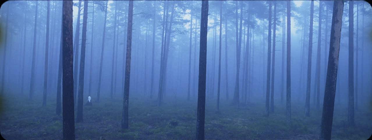 A woman walks through the woods on a foggy day