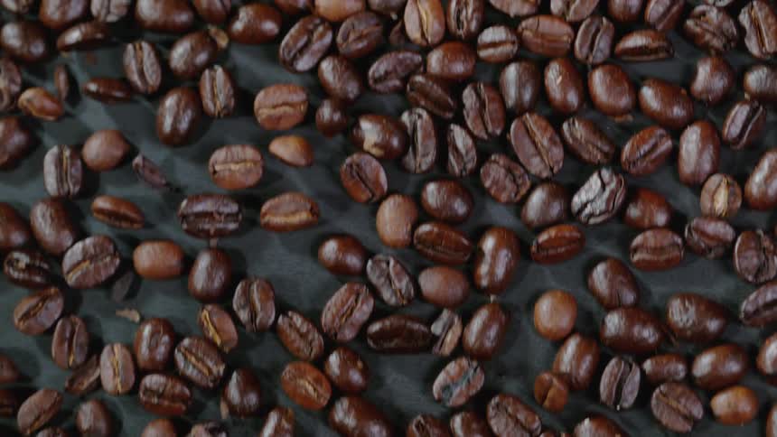 Coffee beans moving on conveyor