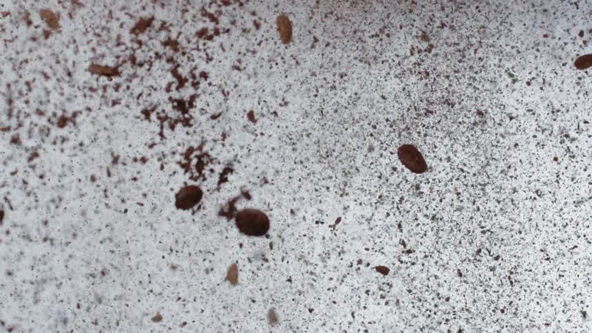 Coffee beans and grounds are thrown in the air