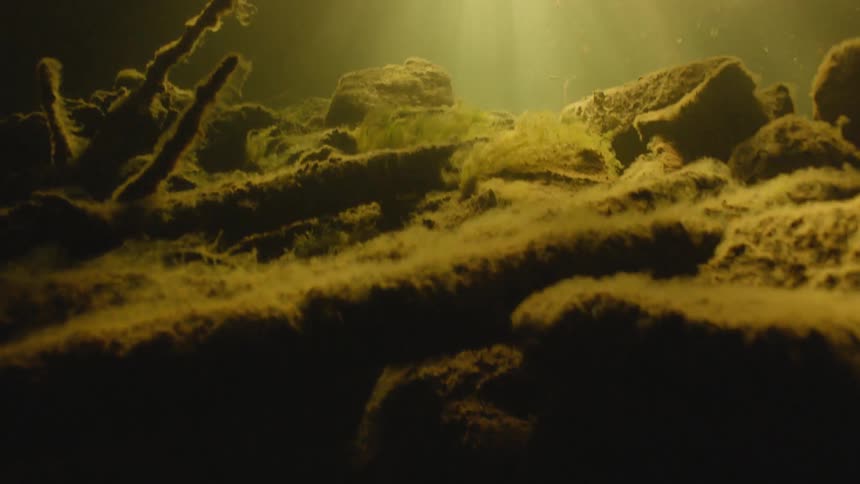 Light streams under water